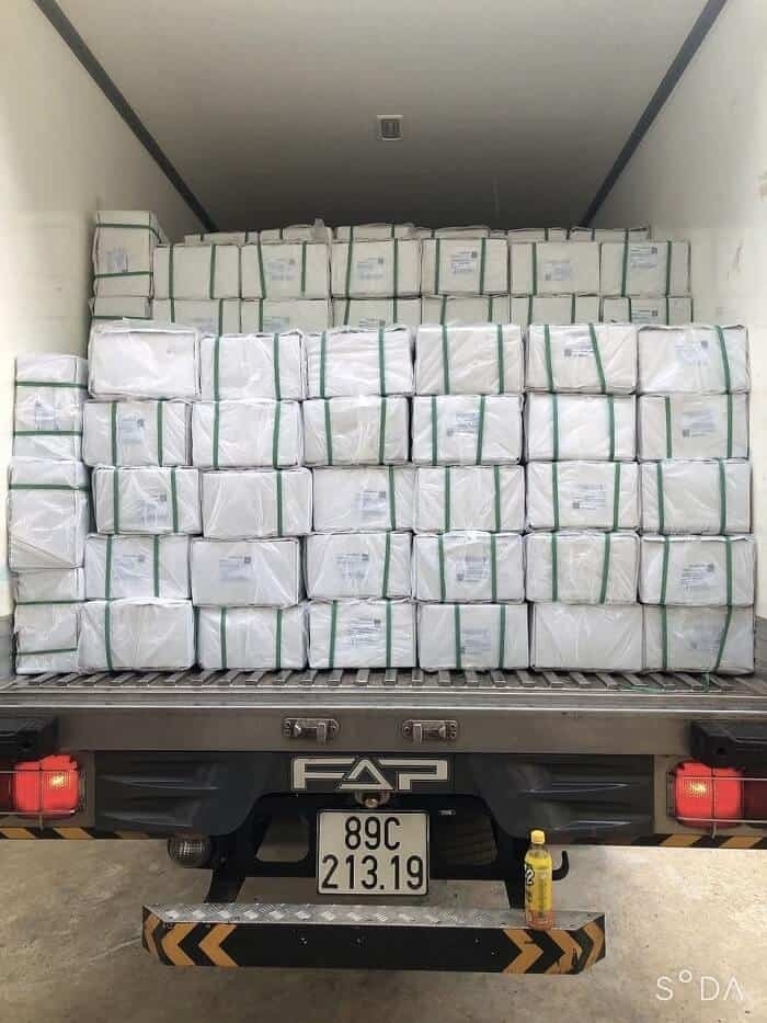 Frozen Pangasius Fillet