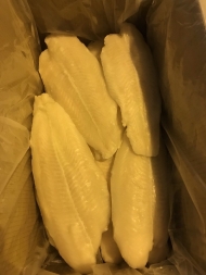 Frozen Pangasius Fillet