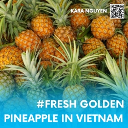 FRESH GOLDEN PINEAPPLE IN VIETNAM