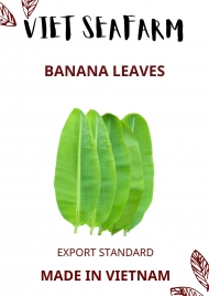 Banana leaves