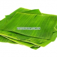 Banana leaves
