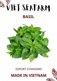 Basil