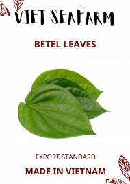 Betel leaves