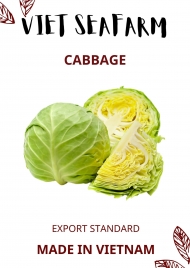Cabbage