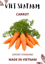 Carrot