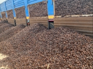 Cashew Nut Shell Residue