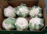 Cauliflower