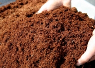 Cocopeat