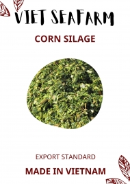 CORN SILAGE