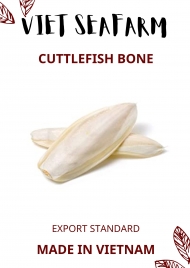 Cuttlefish Bone