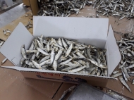 Dried Big Eyed Herring