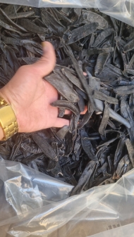 DRIED LEECHES