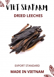 DRIED LEECHES