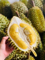 Durian