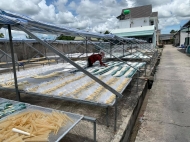 Fish Maw (Swim Bladder)