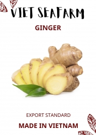 Ginger