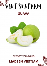 Guava