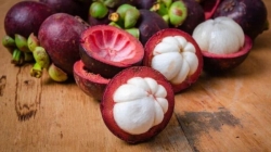 How many calories are in mangosteen?