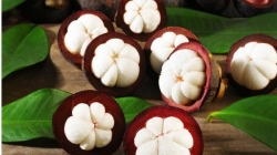 Is eating mangosteen hot?
