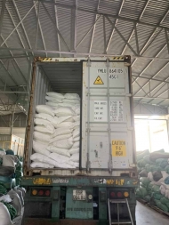 Jasmine Dried Flower