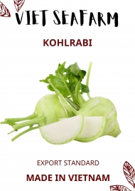 Kohlrabi