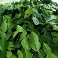 Lemon Leaves