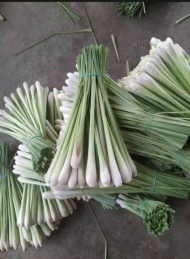Lemongrass