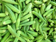 Okra