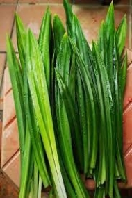 Pandan leaves