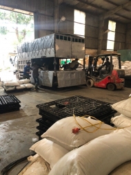 Semi Stearin Fish Oil