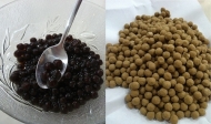 Tapioca Ball
