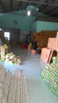 Vietnamese Rice Noodle and Vermicelli