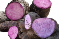 Purple Yam